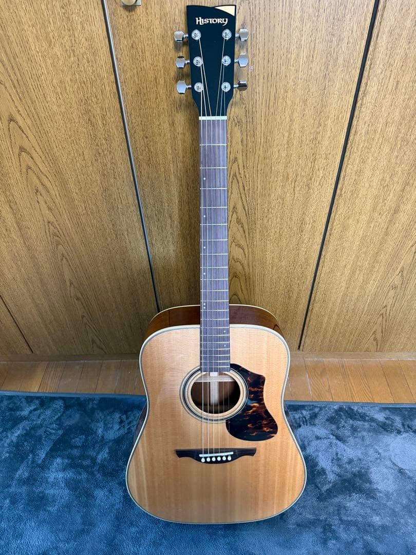 HISTORY NT-L4 アコースティックギター　ハードケース付き　あいみょん