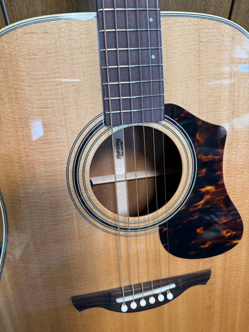 HISTORY NT-L4 アコースティックギター　ハードケース付き　あいみょん