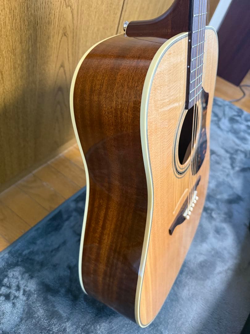 HISTORY NT-L4 アコースティックギター　ハードケース付き　あいみょん
