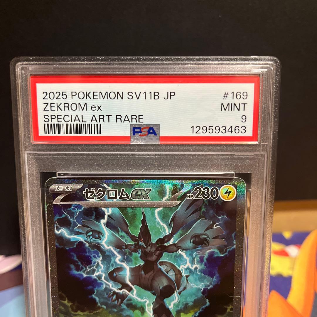 【PSA】ポケモンカード！ゼクロムex！sar！