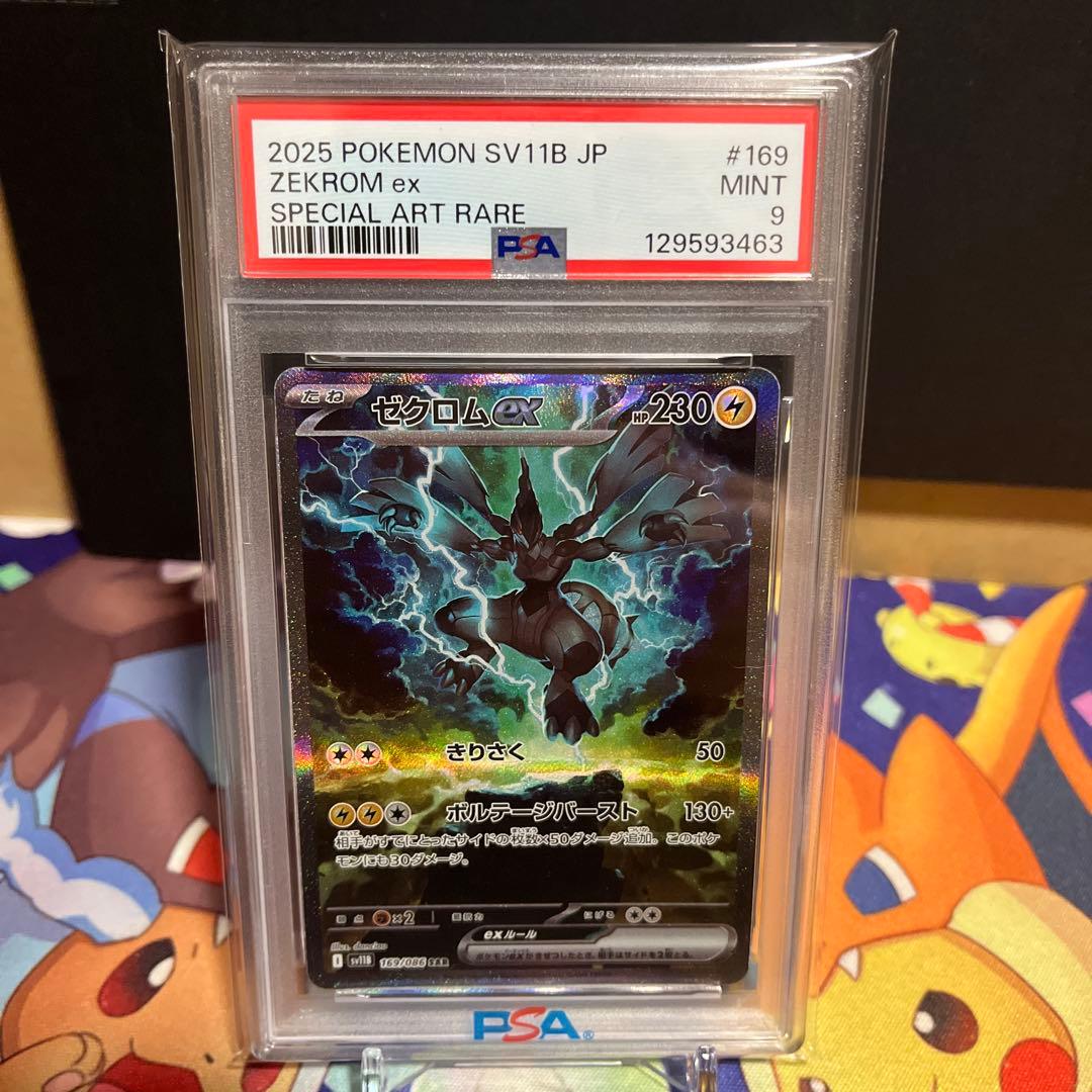 【PSA】ポケモンカード！ゼクロムex！sar！