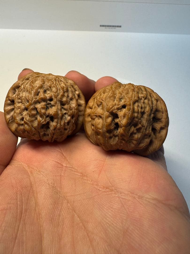 セール中　血麒麟核桃 極上逸品