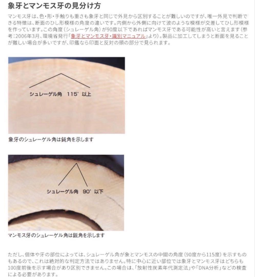 マンモス牙リング ディマントイドガーネット入 一点物　約11号