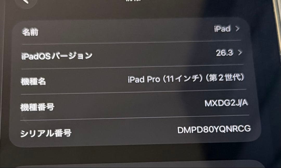 iPad Pro 1TB 第２世代