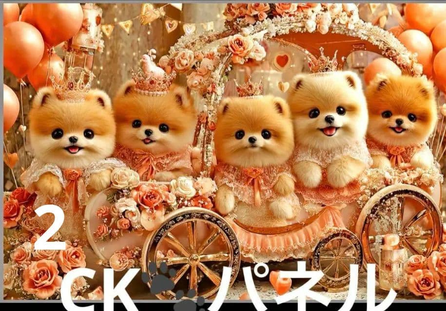 121　横長ハンカチ　ポメラニアン柄8/30