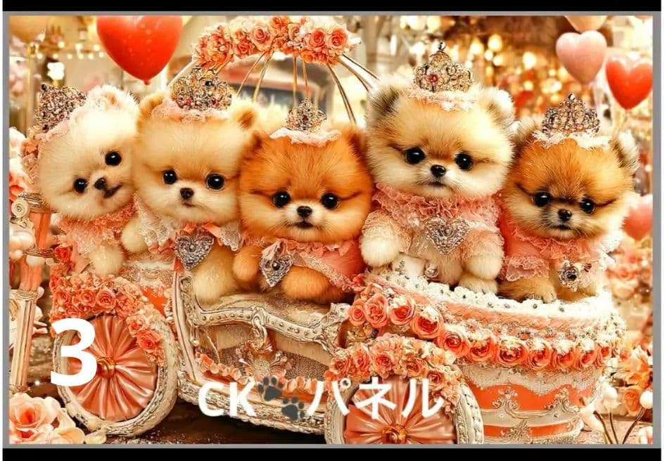 121　横長ハンカチ　ポメラニアン柄8/30