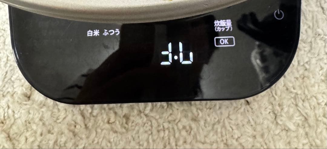 バーミキュラ ライスポットミニ 3合炊き 炊飯器 シルバー RP19A-SV