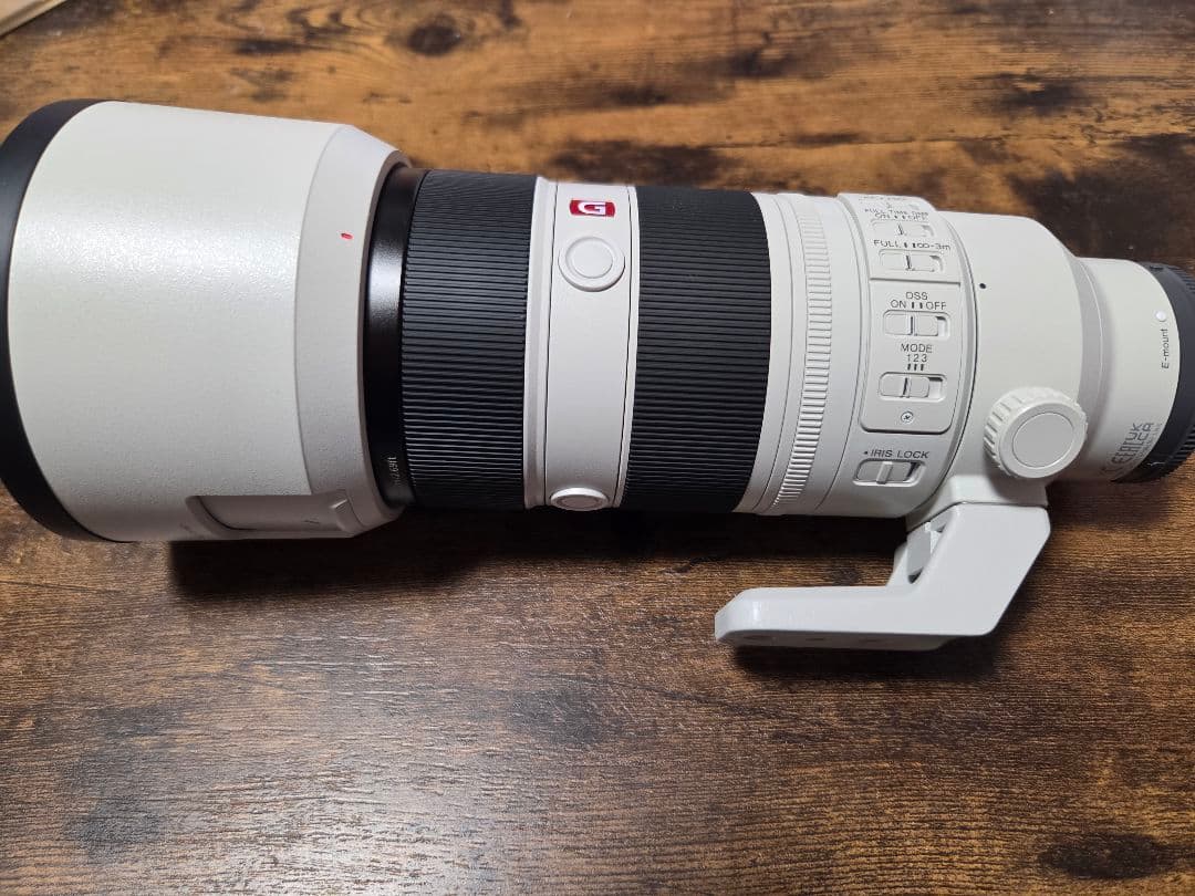 み*ん様 SONY FE 70-200mm F2.8 GM OSS II 2Xテ