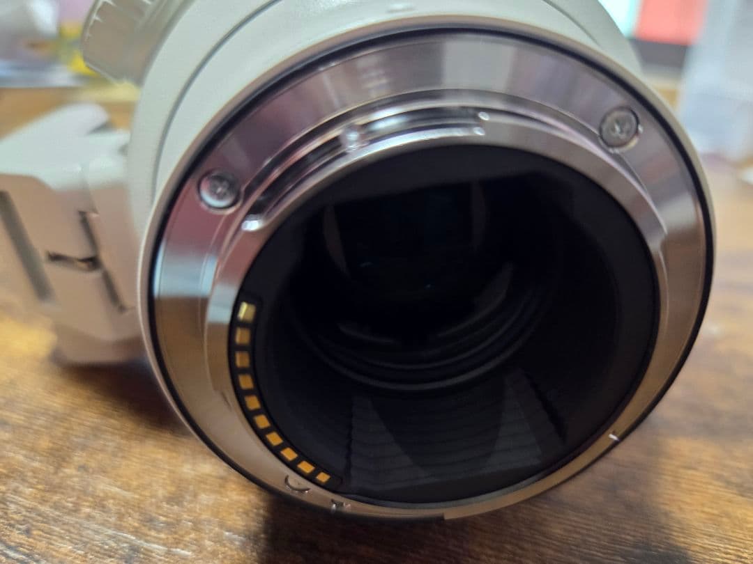 み*ん様 SONY FE 70-200mm F2.8 GM OSS II 2Xテ