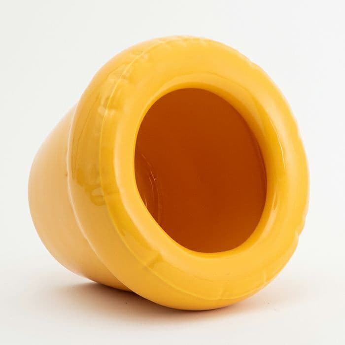  Studyo ピエールプランター ヨーク イエロー 鉢