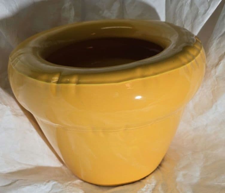  Studyo ピエールプランター ヨーク イエロー 鉢