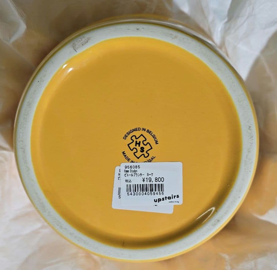  Studyo ピエールプランター ヨーク イエロー 鉢