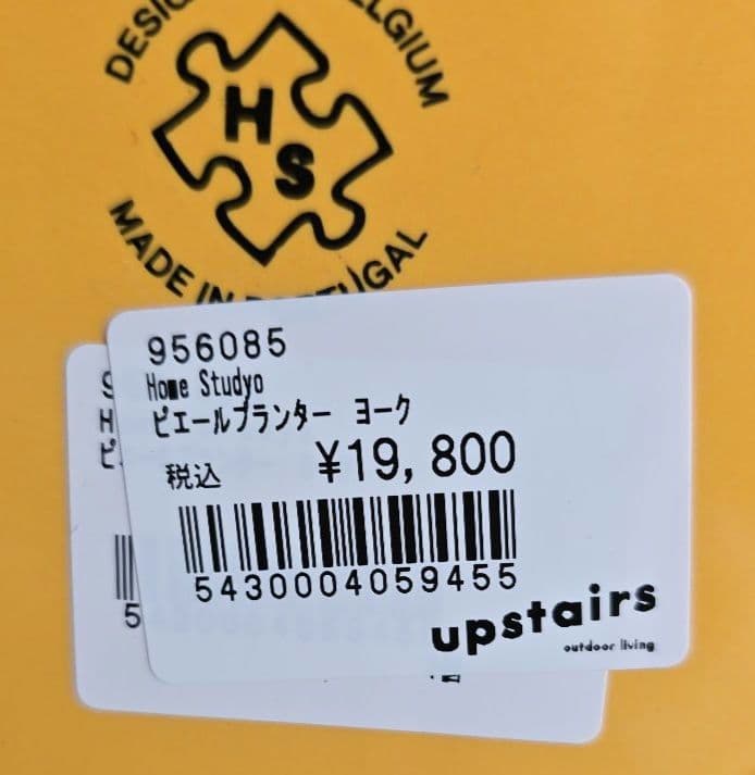  Studyo ピエールプランター ヨーク イエロー 鉢