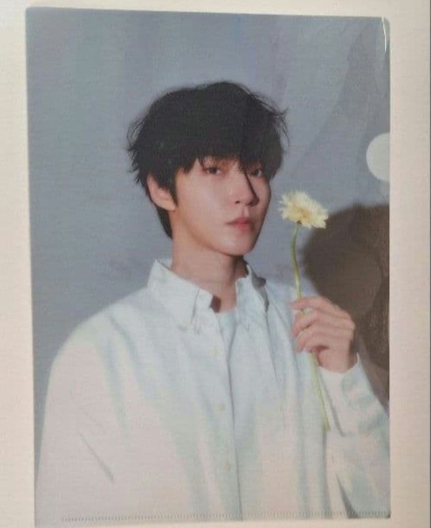 ファンイニョプ　ファンミーティングIN LOVE ファイル・ノート・トレカセット