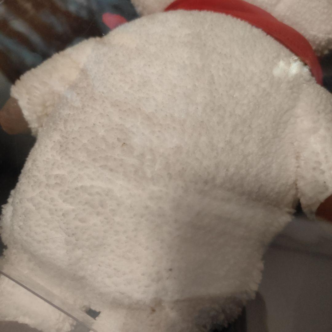 BT21 RJ まとめ売り