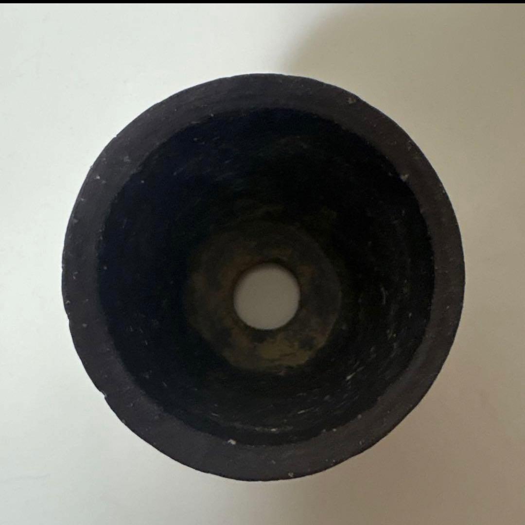 然　ZEN 植物 鉢　検) BOTANIZE レフトボタニカル　グラキ