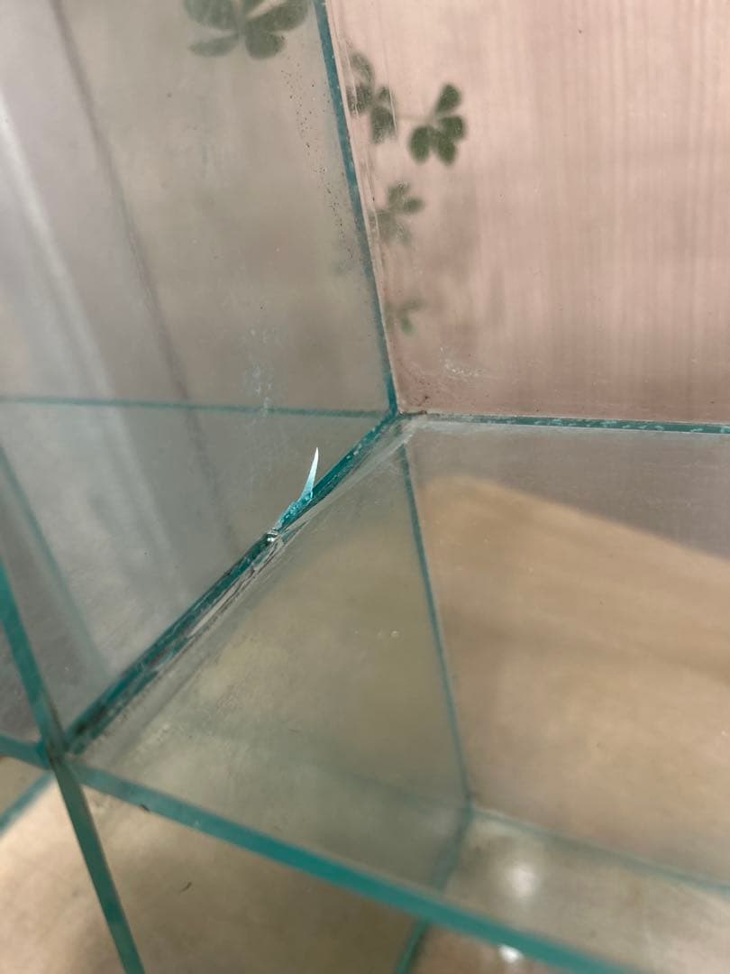 コレクションケース 18マスディスプレイケース