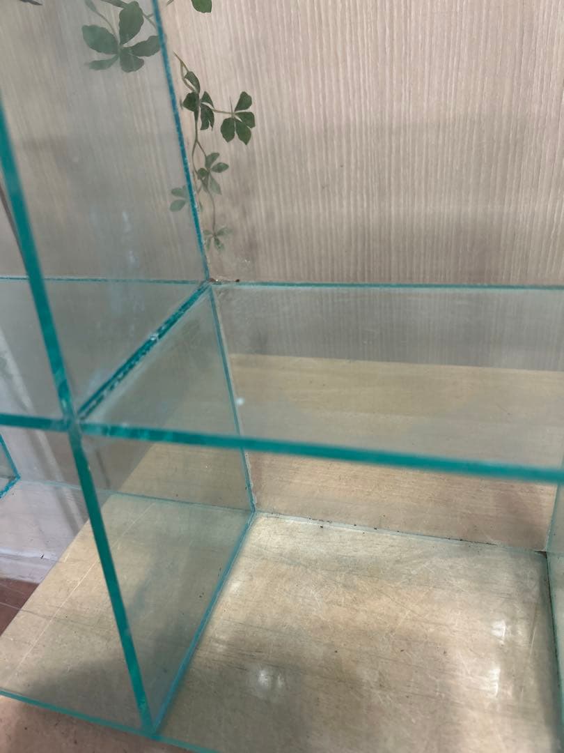 コレクションケース 18マスディスプレイケース