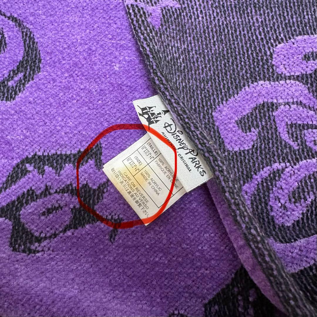 【希少】フロリダ　ホーンテッドマンション　壁柄　ブランケット