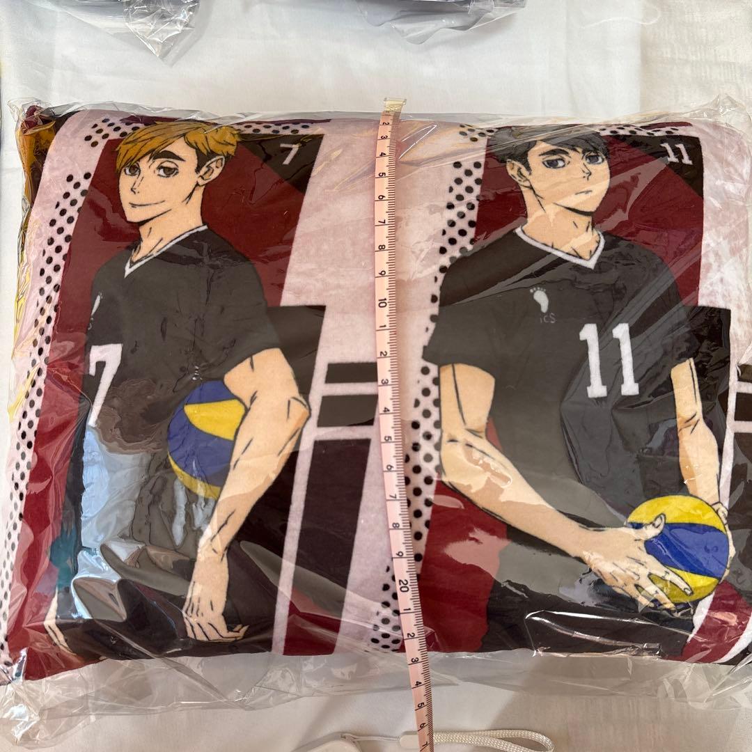 ぐでたま ハイキュー