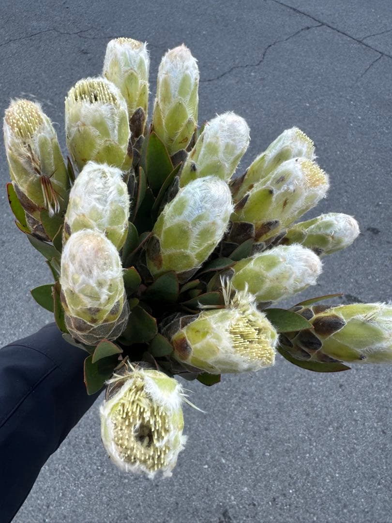 nico house様 リクエスト 2点 まとめ商品