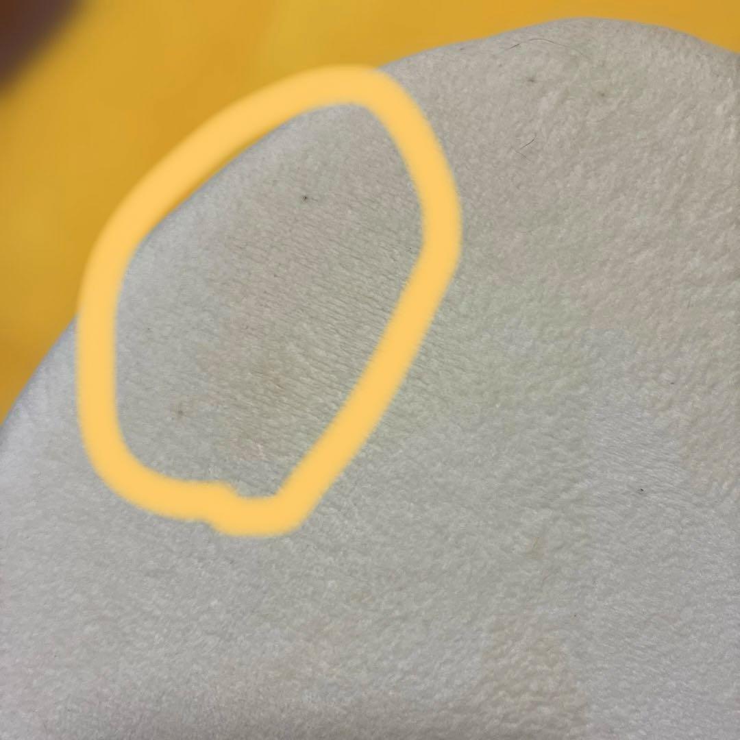 等身大コダック