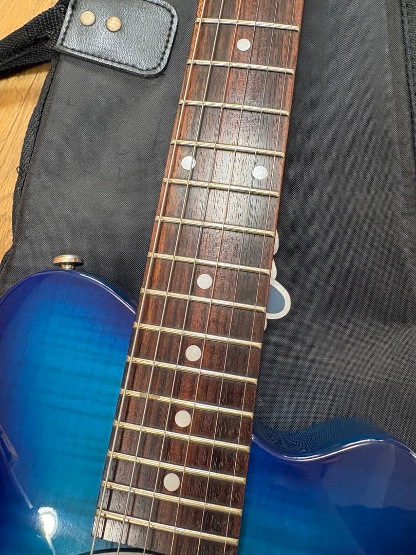 Pignose PGG-200 ミニエレキギター