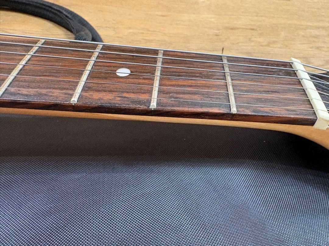 Pignose PGG-200 ミニエレキギター