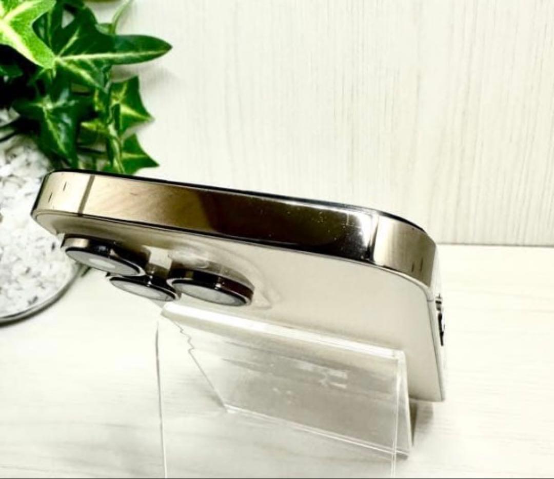 iPhone 14 Pro(使用可能なジャンク品)