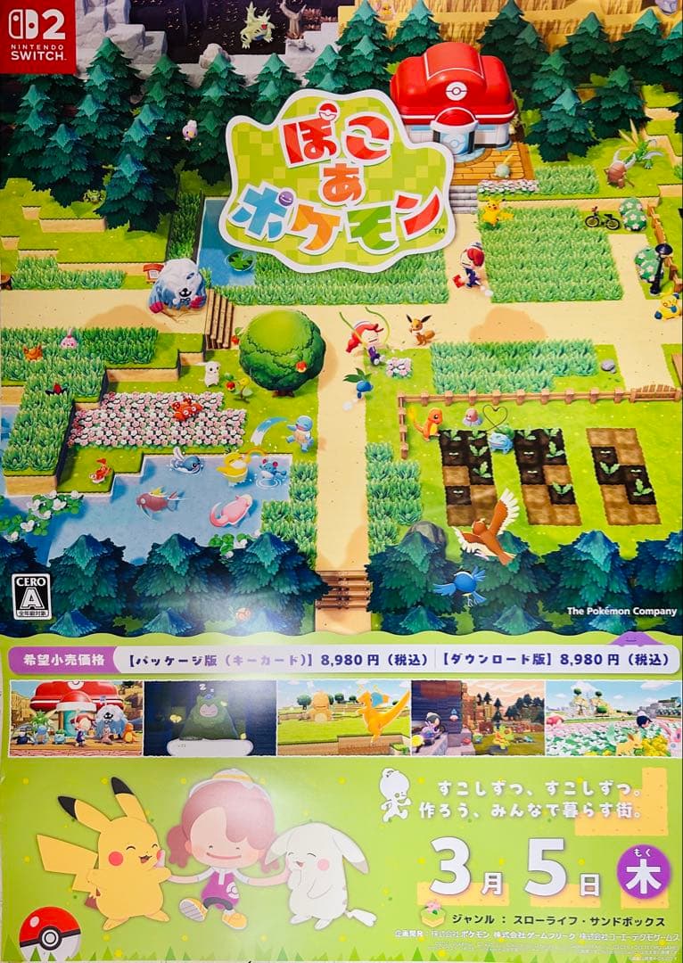 ぽこあポケモン　　B2サイズのポスター 2枚セット