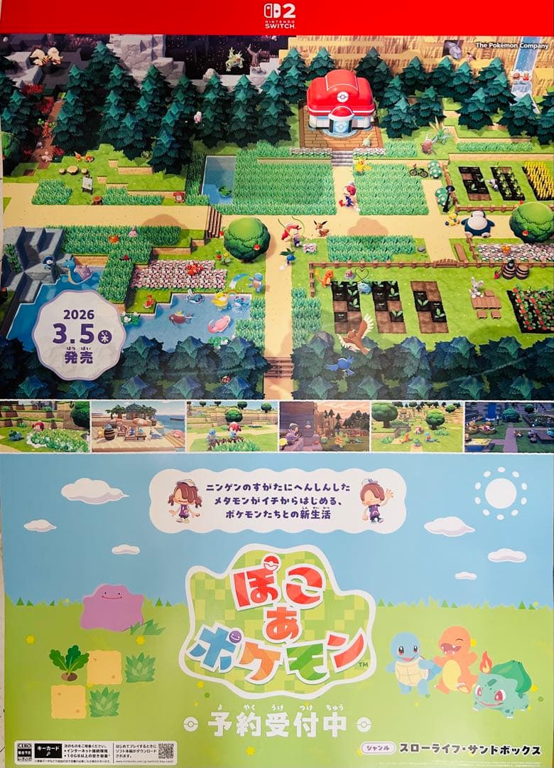 ぽこあポケモン　　B2サイズのポスター 2枚セット