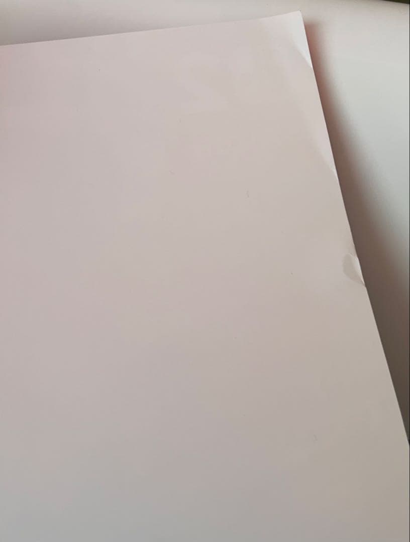 ぽこあポケモン　　B2サイズのポスター 2枚セット