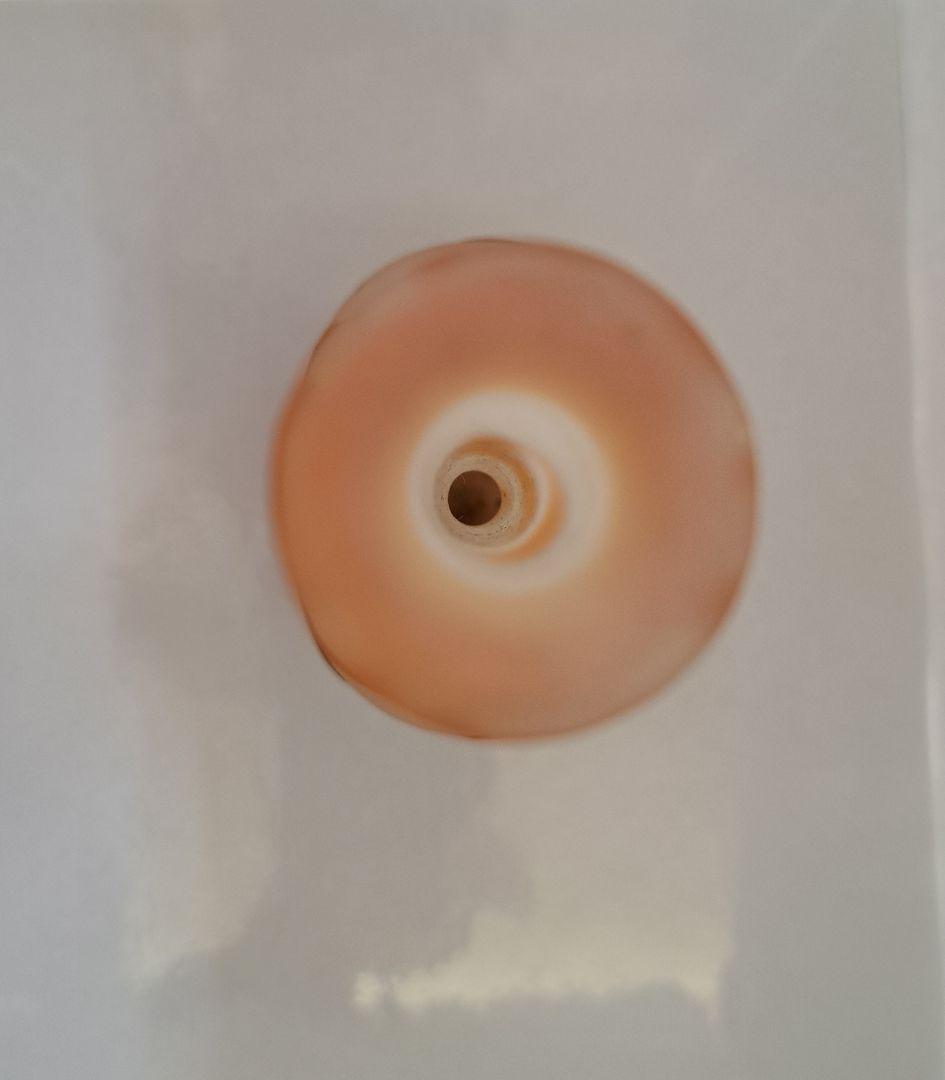 エミール・ガレ　クレマチス柄花瓶