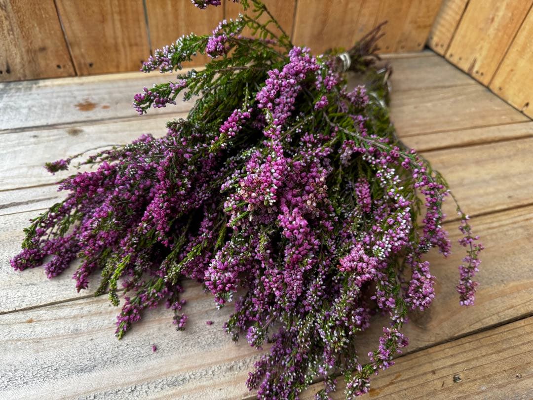 うさぴょん様 リクエスト 2点 まとめ商品