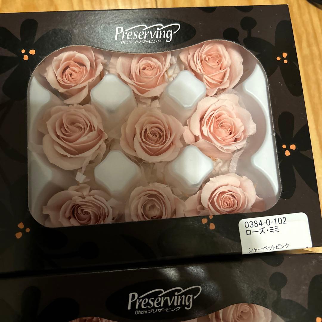 プリザーブドフラワー 花材(No.20)　ローズ　12個