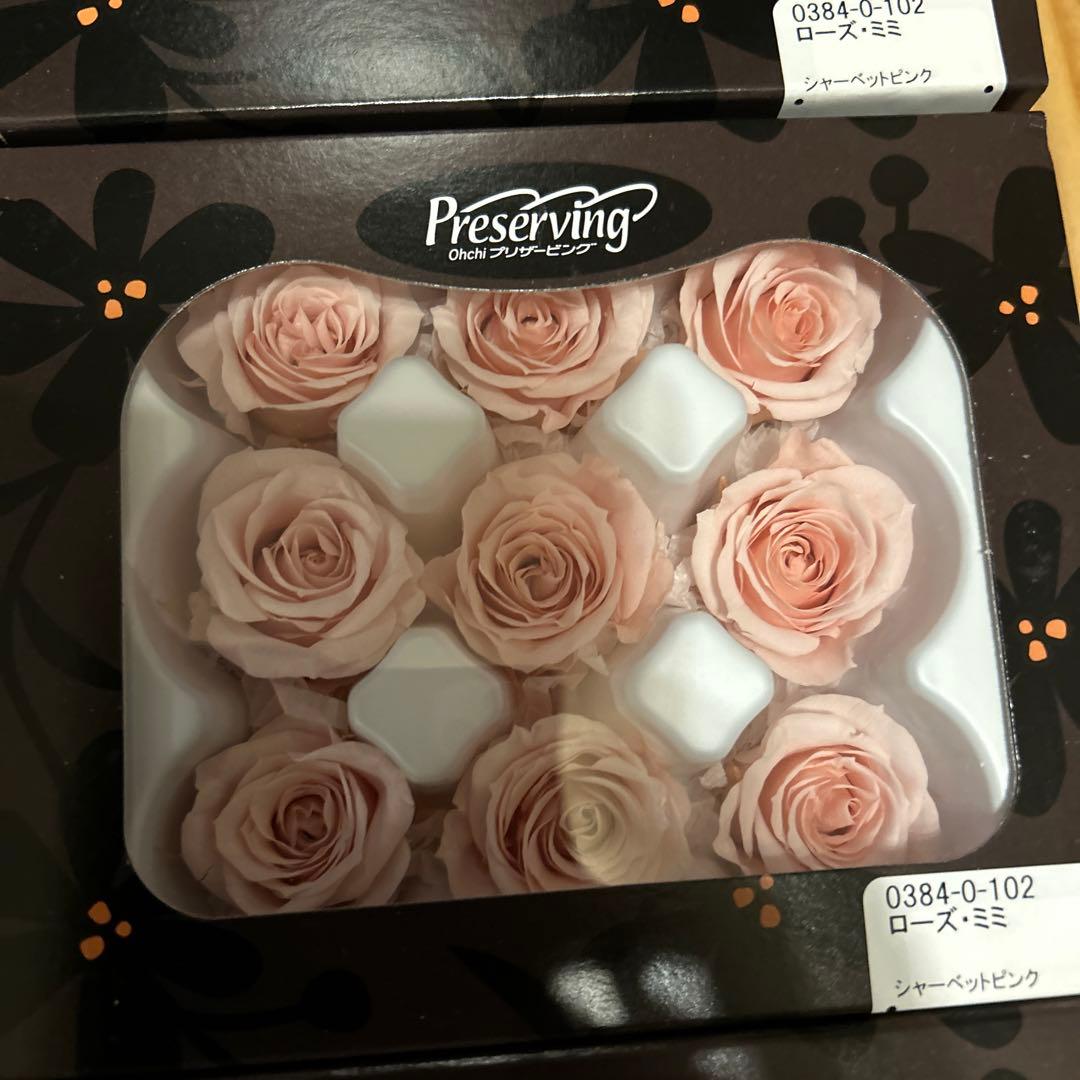 プリザーブドフラワー 花材(No.20)　ローズ　12個