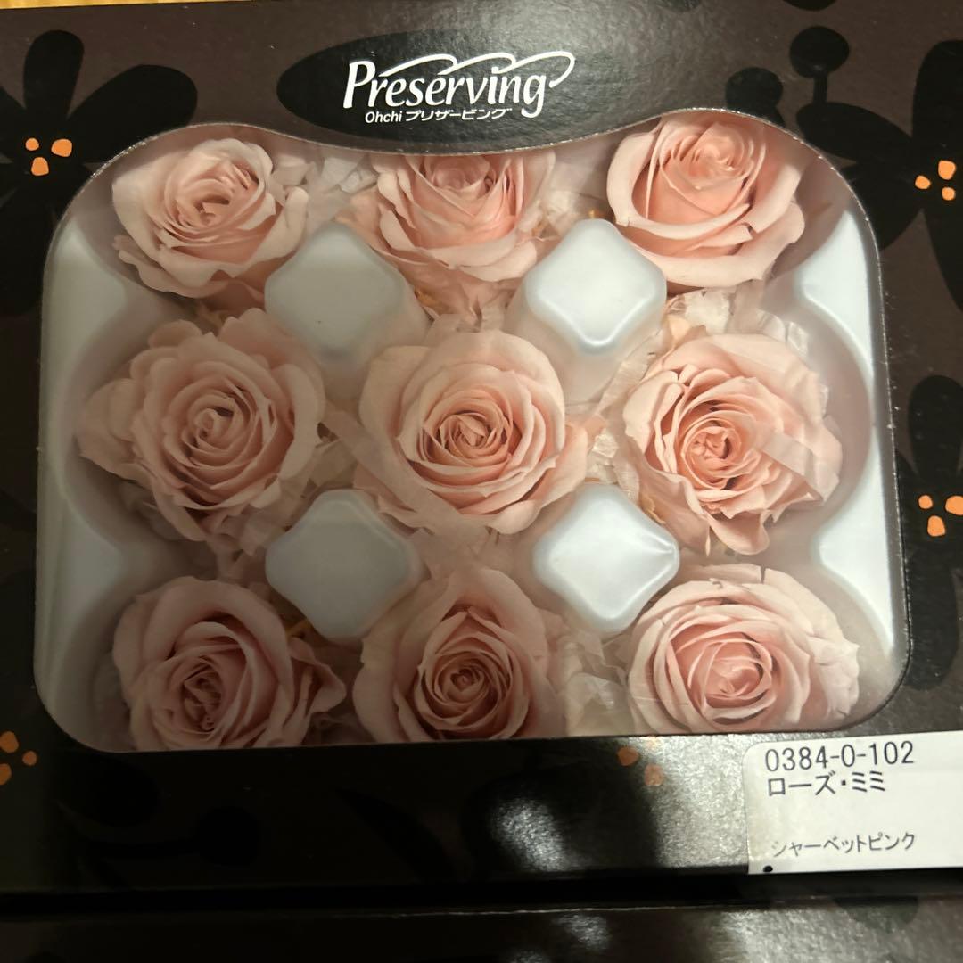 プリザーブドフラワー 花材(No.20)　ローズ　12個