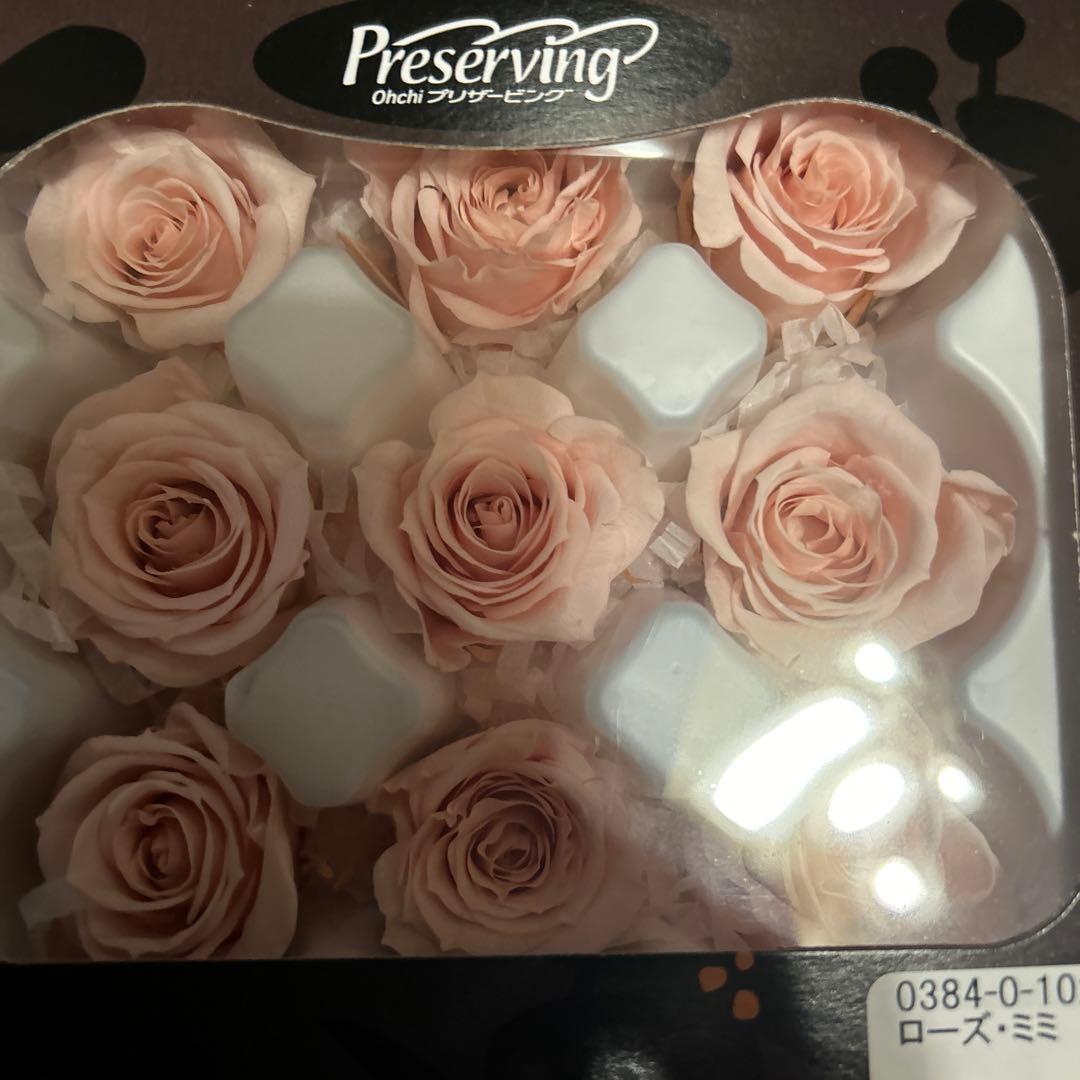 プリザーブドフラワー 花材(No.20)　ローズ　12個