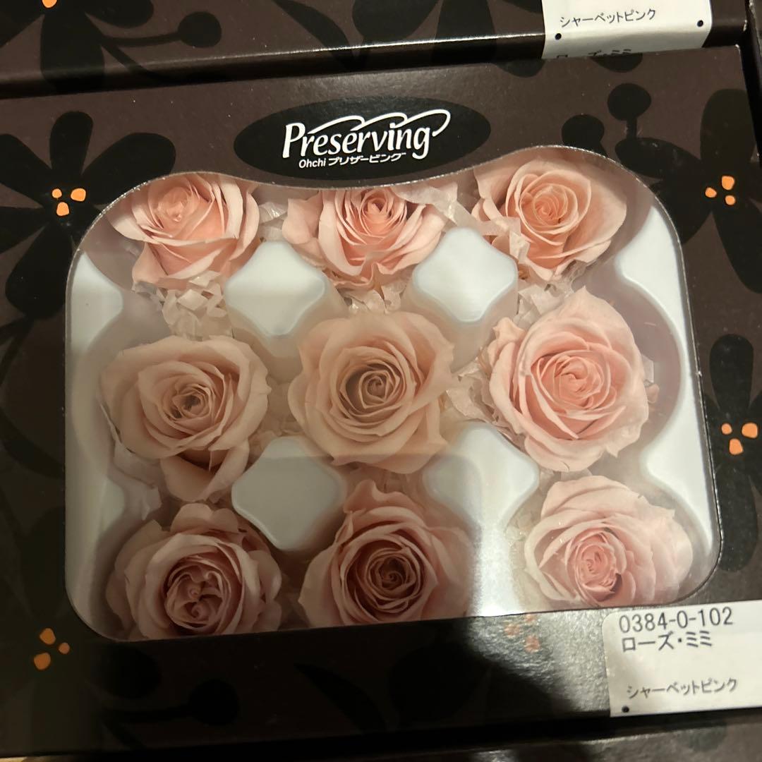 プリザーブドフラワー 花材(No.20)　ローズ　12個