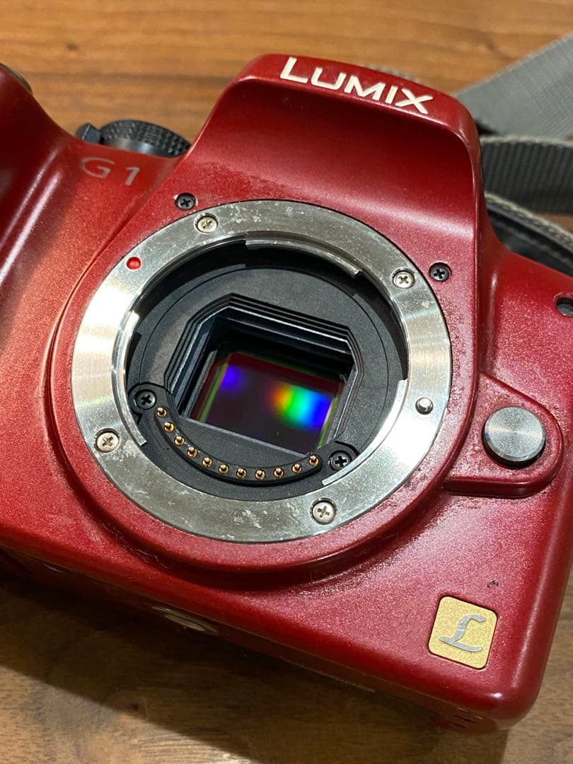 LUMIX G1 ミラーレス一眼　ニコンシリーズE 70-210 動作品　望遠