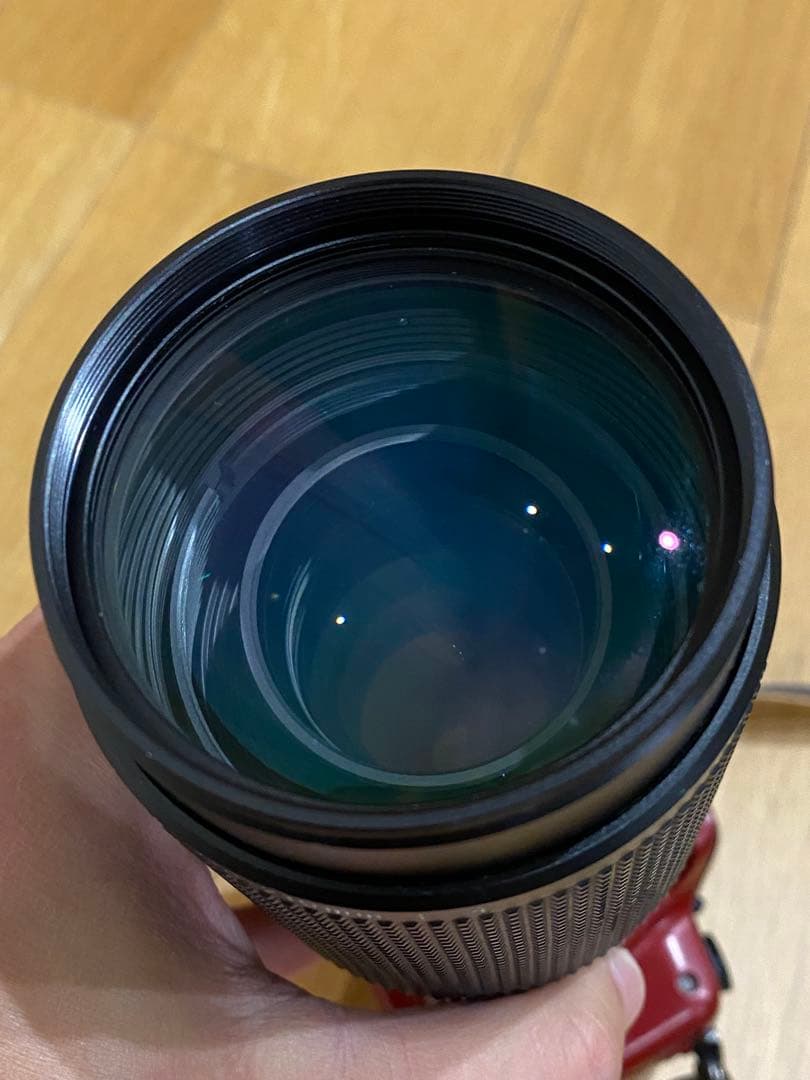 LUMIX G1 ミラーレス一眼　ニコンシリーズE 70-210 動作品　望遠