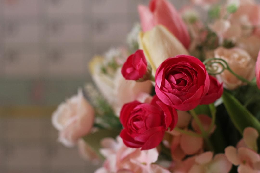 Canon EF50mm f1.4 USMレンズ 良品　(ref# 4136)