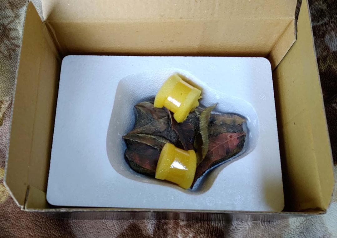 クロイワトカゲモドキ 海洋堂 ハープタイル レプリカシリーズ