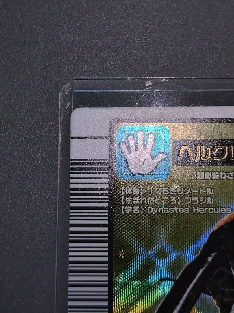 002ヘルクレスオオカブト 2004first 美品