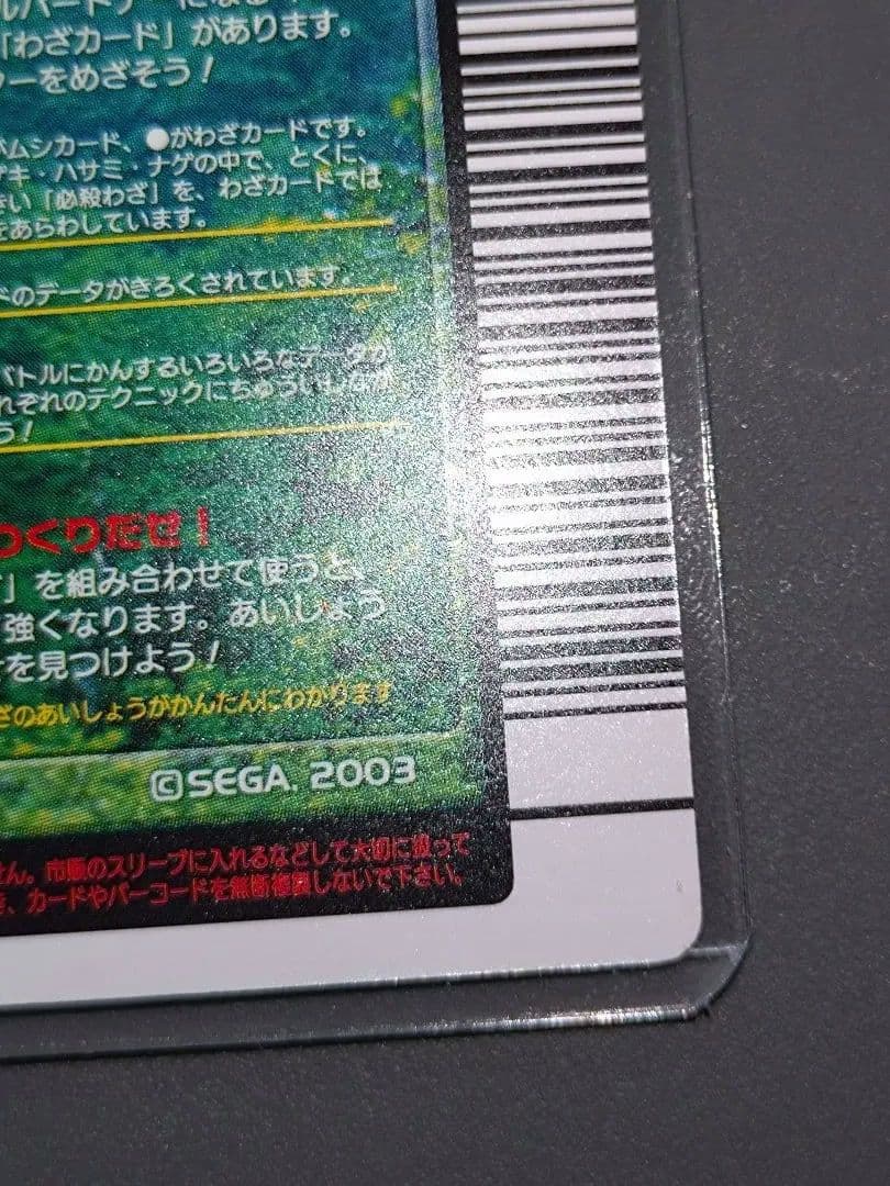 002ヘルクレスオオカブト 2004first 美品