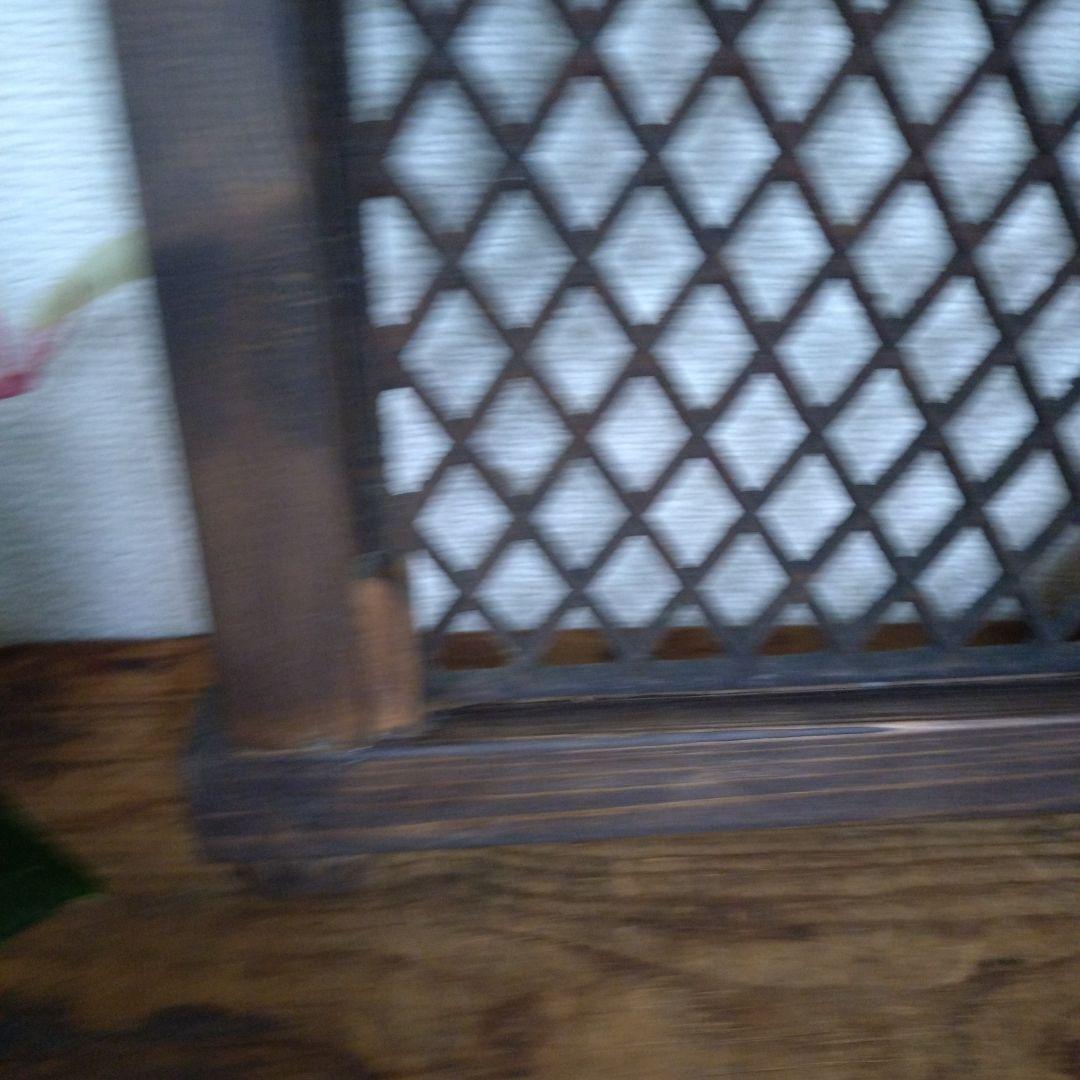 ❋ビカクシ•板付植物ダホルダー 2枚set❋