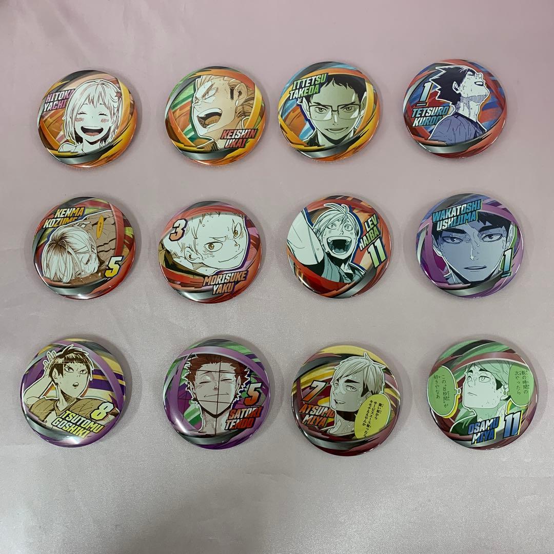 全32種セット ハイキュー!! ファンパーク コレクション缶バッジ FUN!!