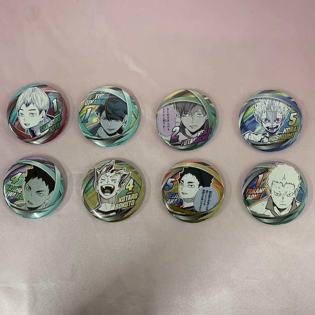 全32種セット ハイキュー!! ファンパーク コレクション缶バッジ FUN!!