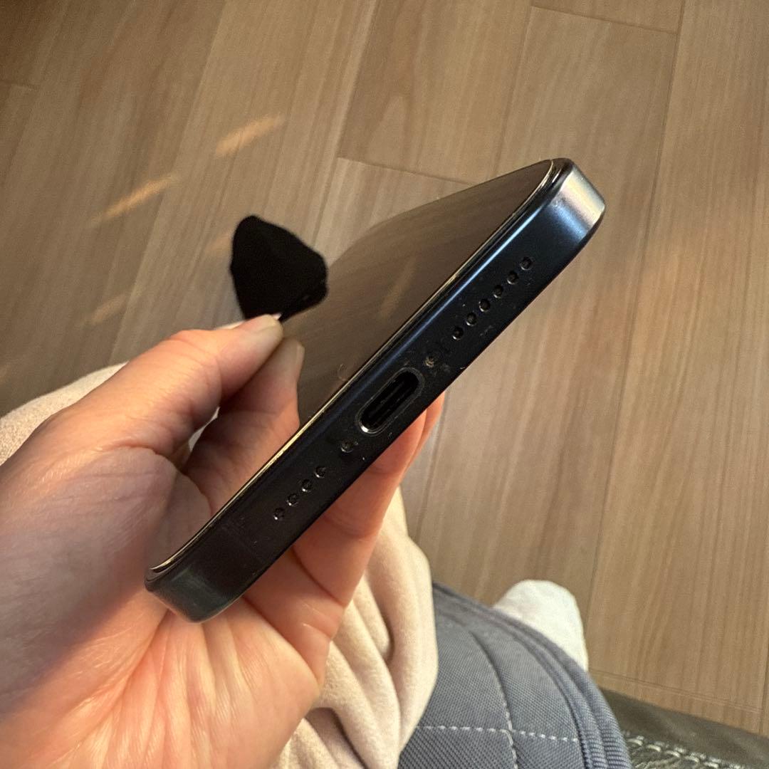 Apple iPhone 15 Pro Max 本体