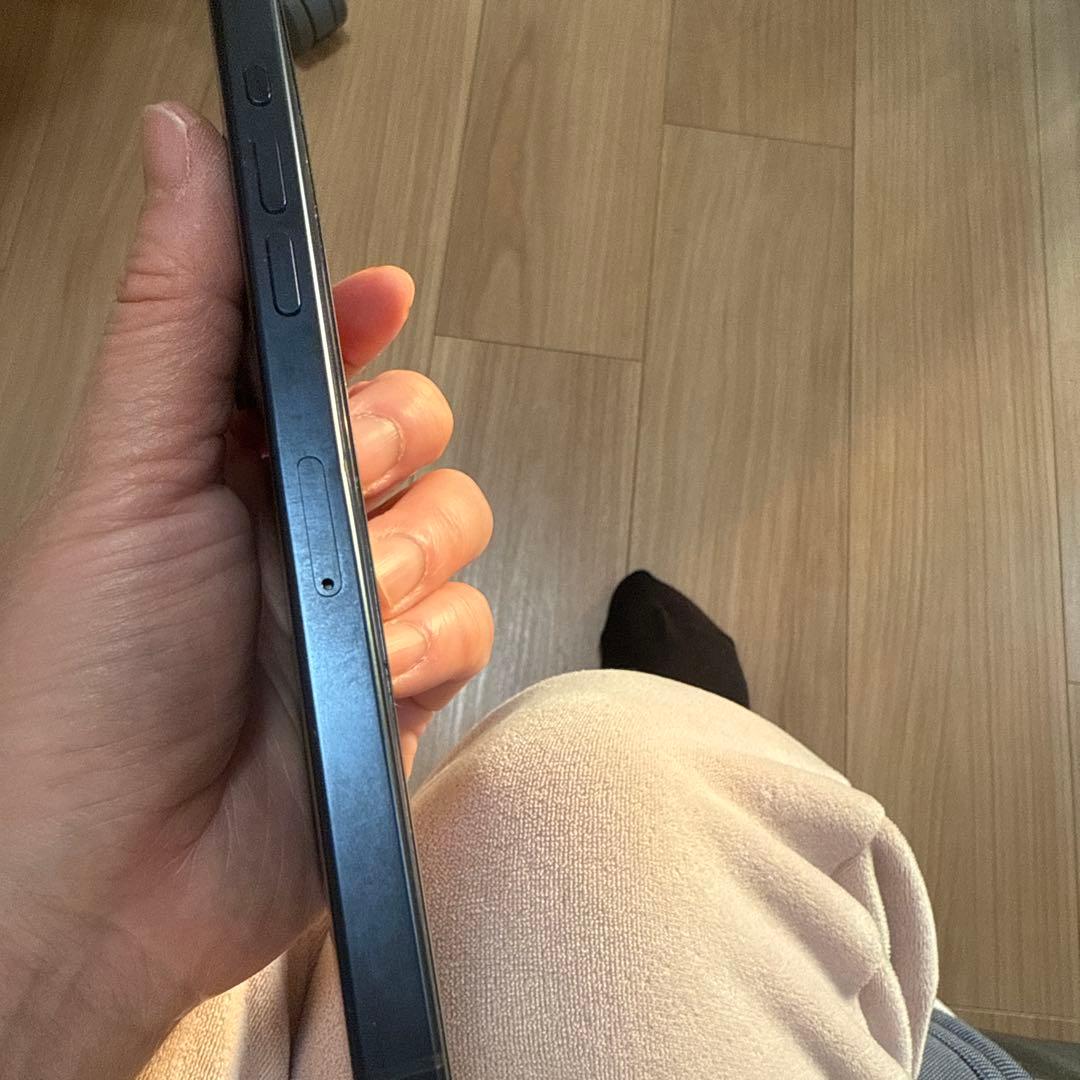 Apple iPhone 15 Pro Max 本体